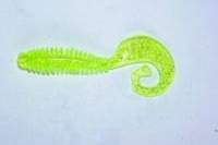 Силикон Reins Fat G-Tail Grub 3" 431 Chart Silver Glitter 12шт фотография